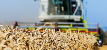 Landwirtschaftliche Buchstelle