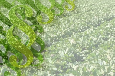 Landwirtschaftliches Recht