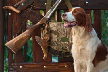 Jagdhund Betriebsausgabe Landwirtschaft