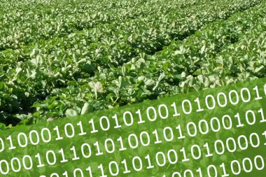 Smart Farming - Digitalisierung in der Landwirtschaft