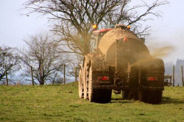 dünger landwirtschaft überdüngung nitrat