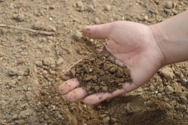 Feld Acker Boden Dünger Düngeverordnung