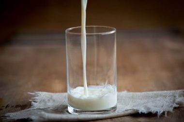 Milchpreisanstieg Milchbauern Krise